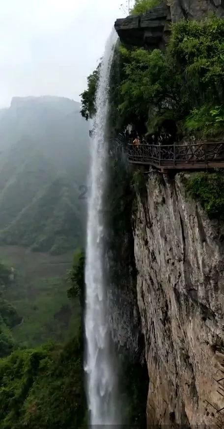 深海鱼救援